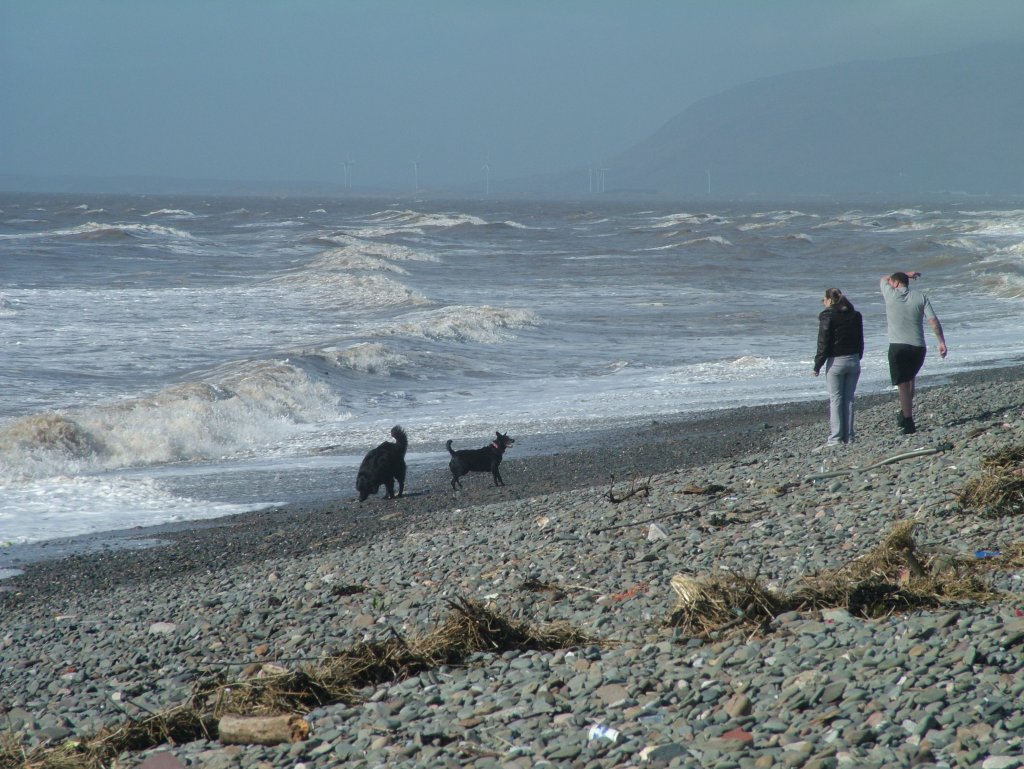 Click now to see this image full size.