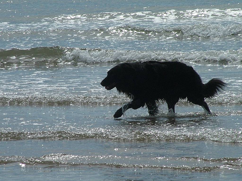 Click now to see this image full size.