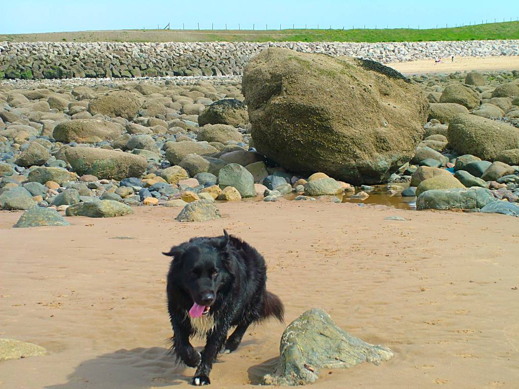 Click now to see this image full size.