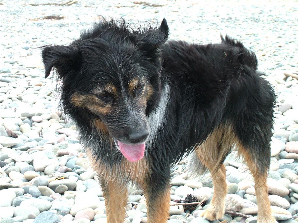 Click now to see this image full size.