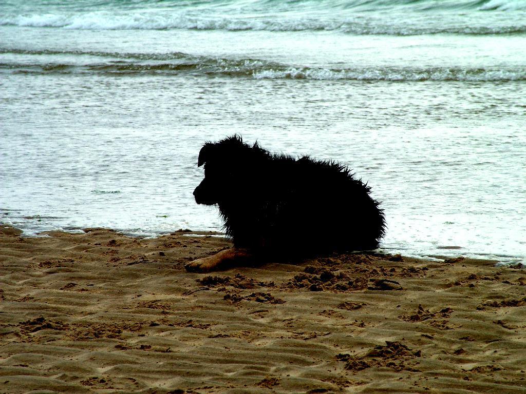 Click now to see this image full size.