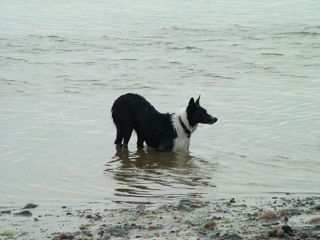 Click now to see this image full size.