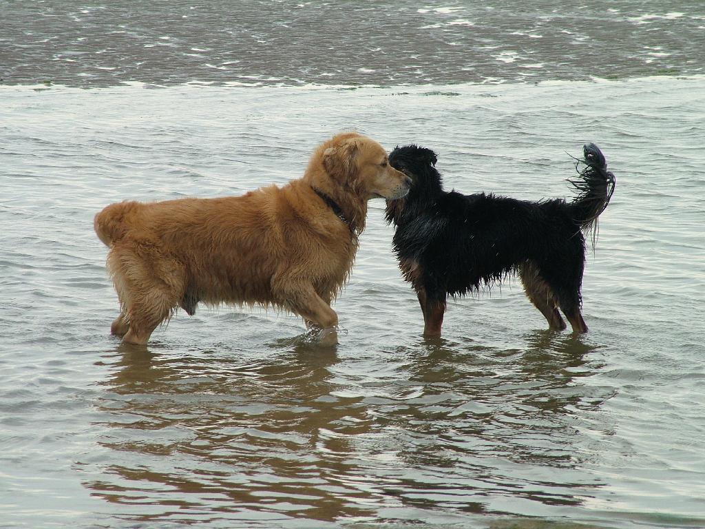 Click now to see this image full size.