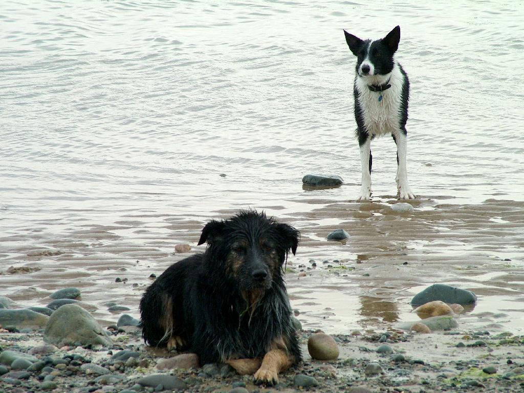 Click now to see this image full size.