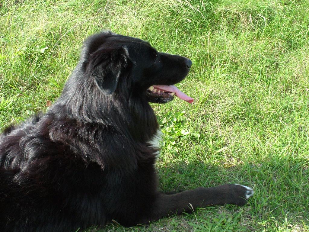 Click now to see this image full size.