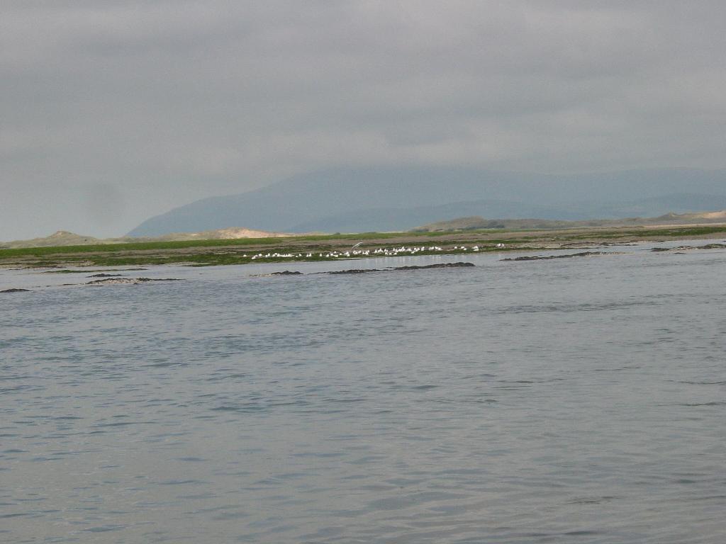 Click now to see this image full size.