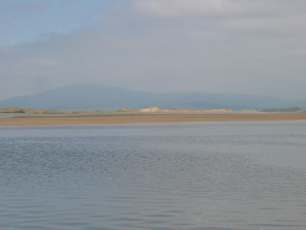 Click now to see this image full size.