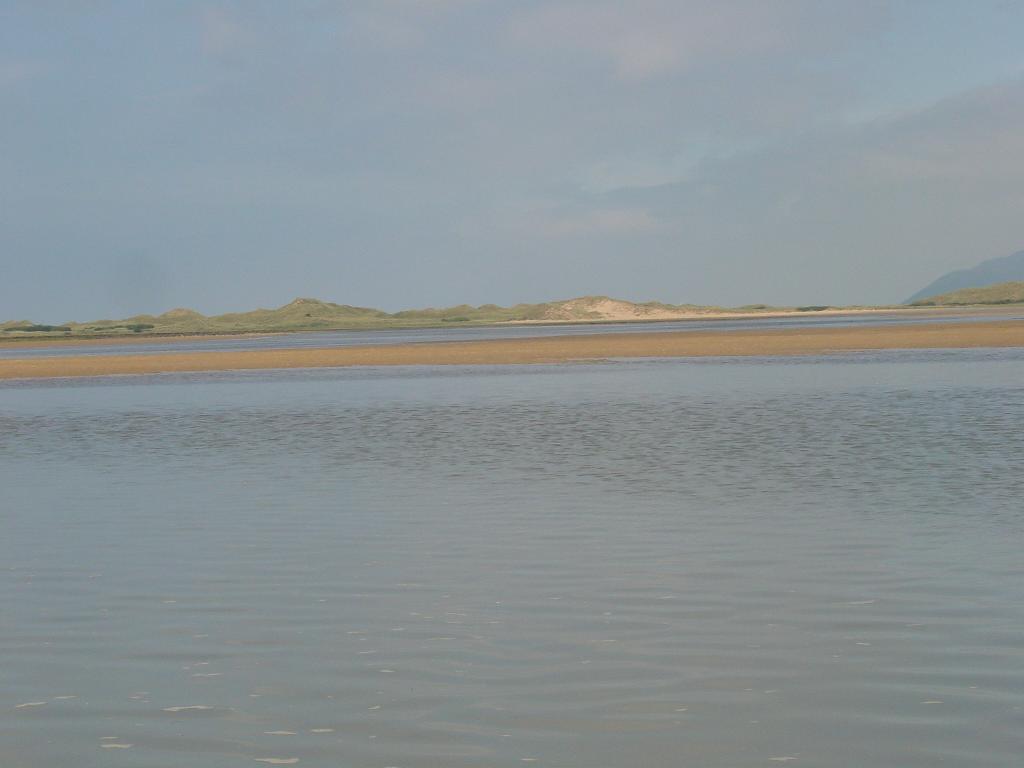 Click now to see this image full size.