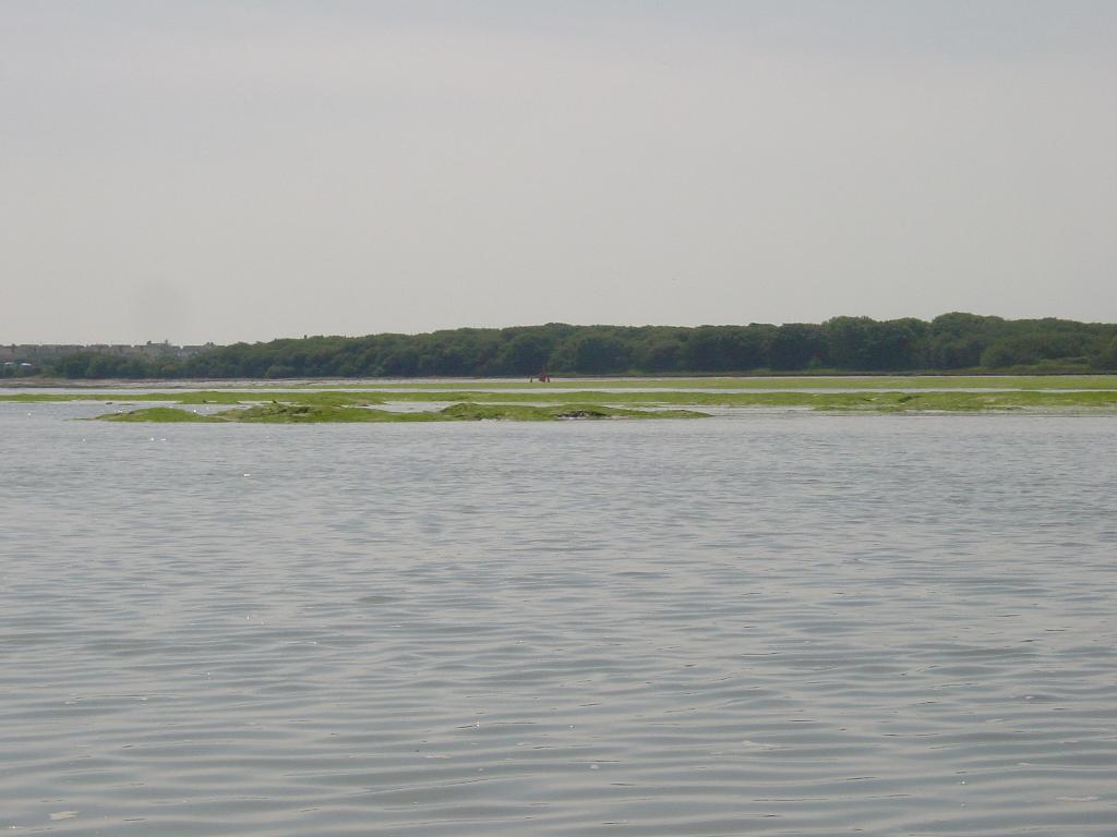 Click now to see this image full size.