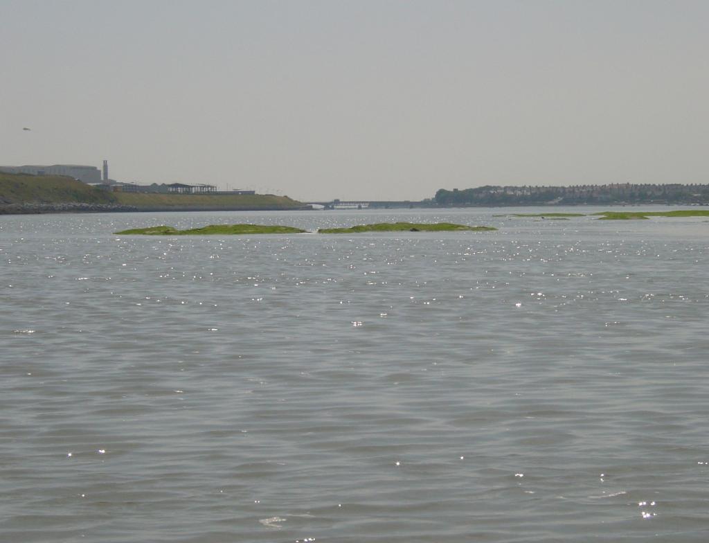 Click now to see this image full size.