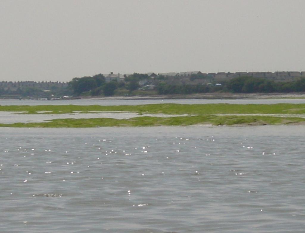 Click now to see this image full size.