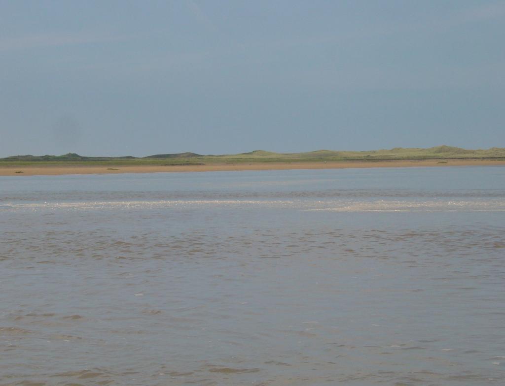 Click now to see this image full size.