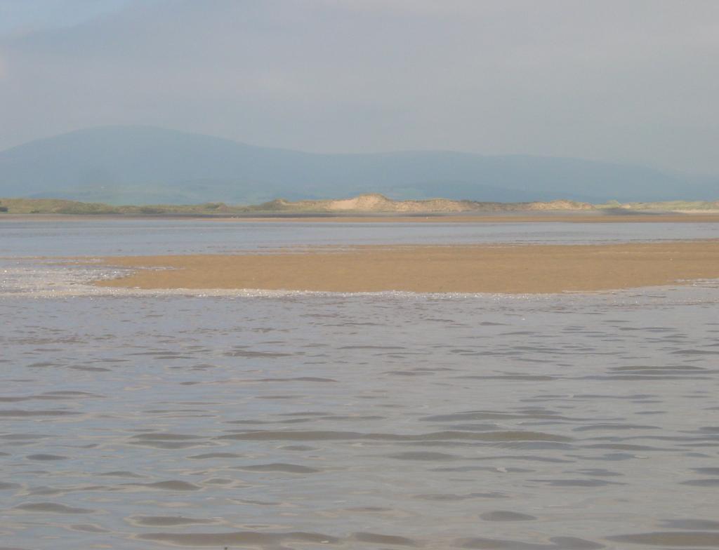 Click now to see this image full size.