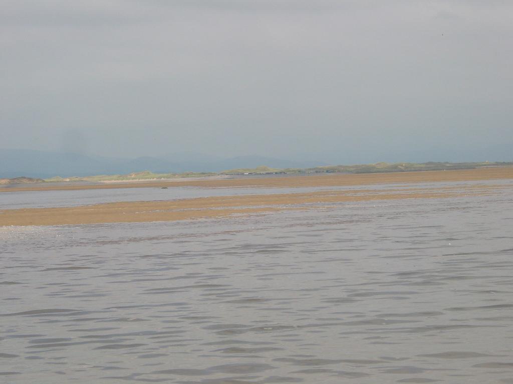 Click now to see this image full size.