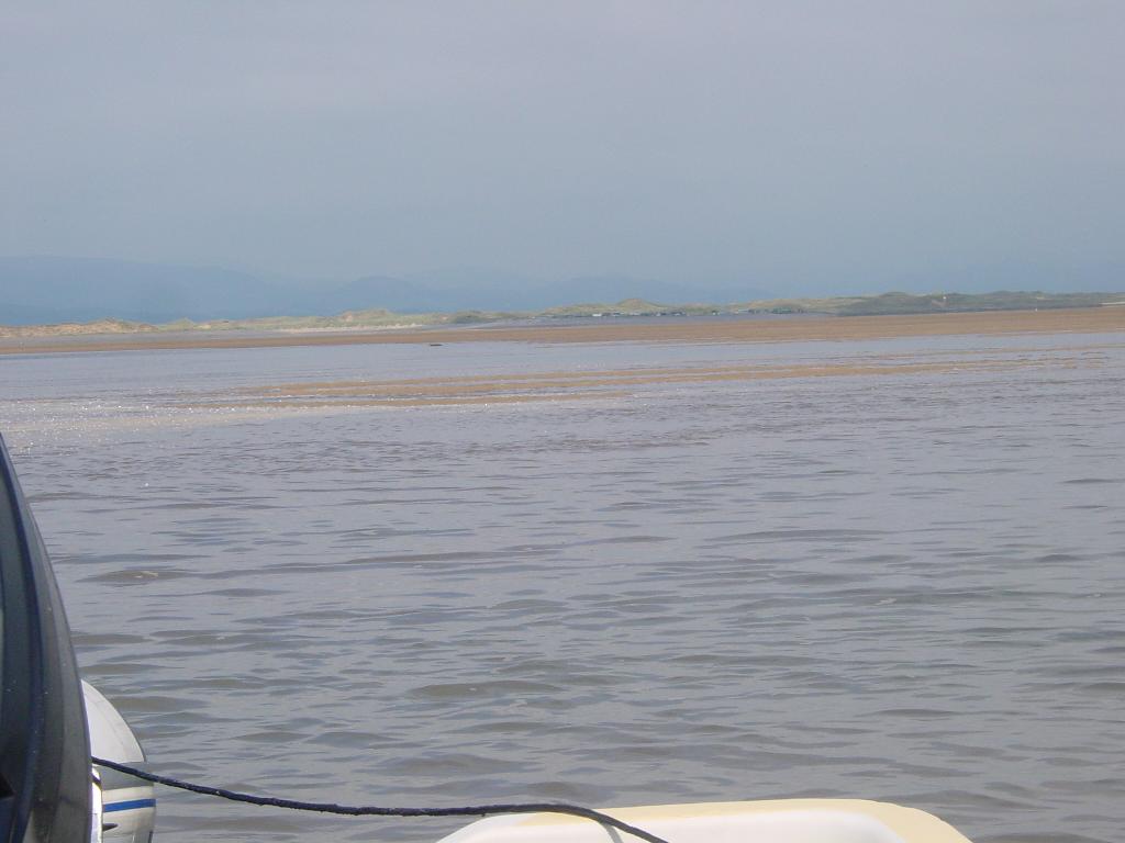 Click now to see this image full size.