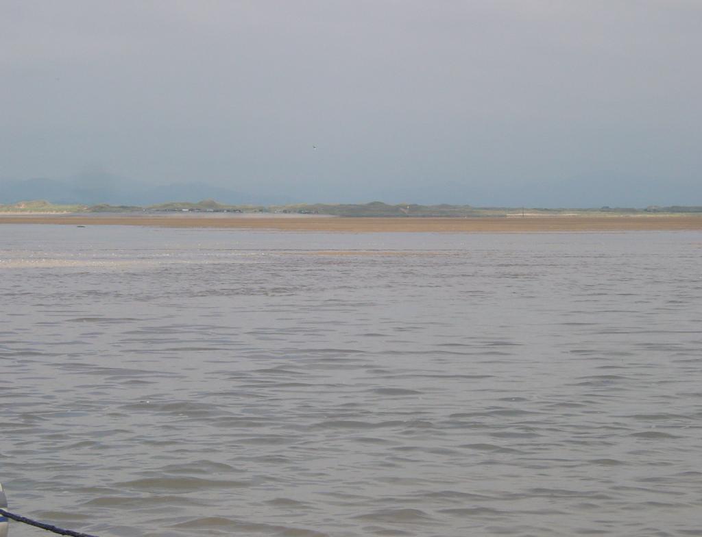 Click now to see this image full size.