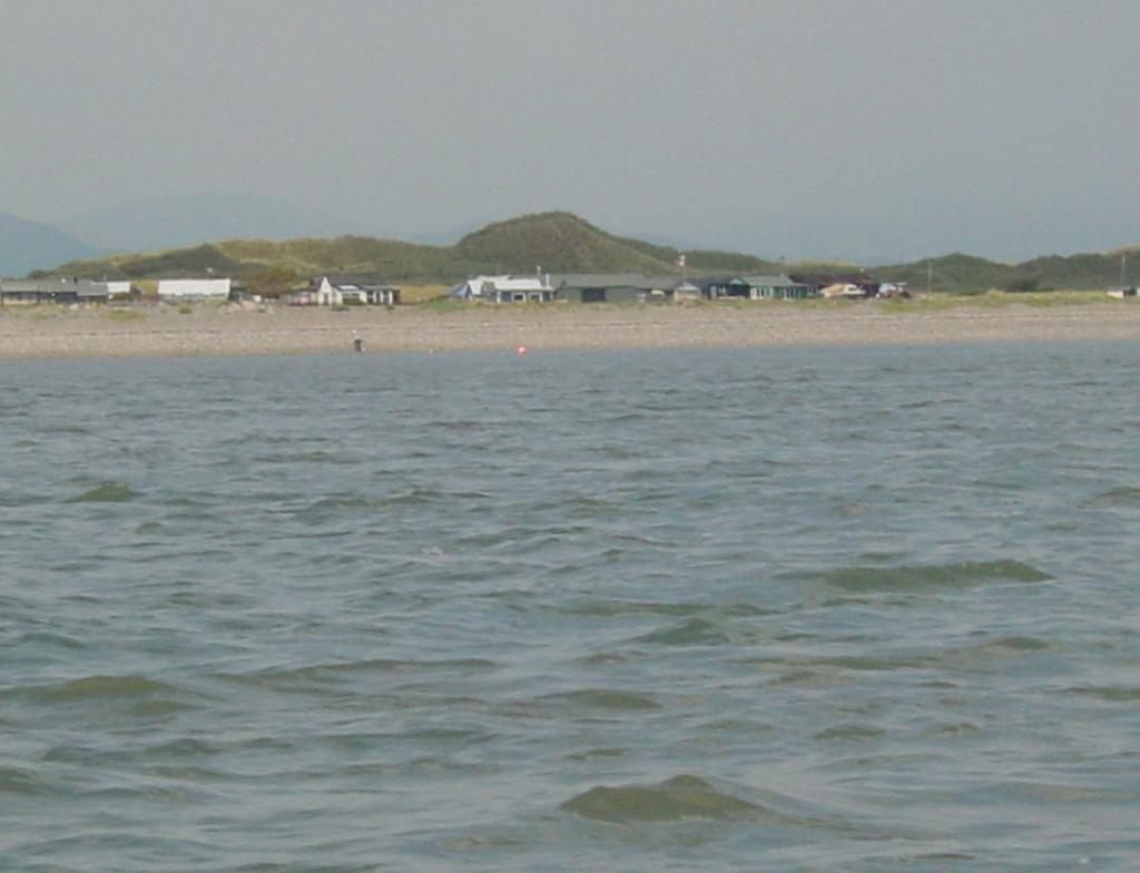 Click now to see this image full size.