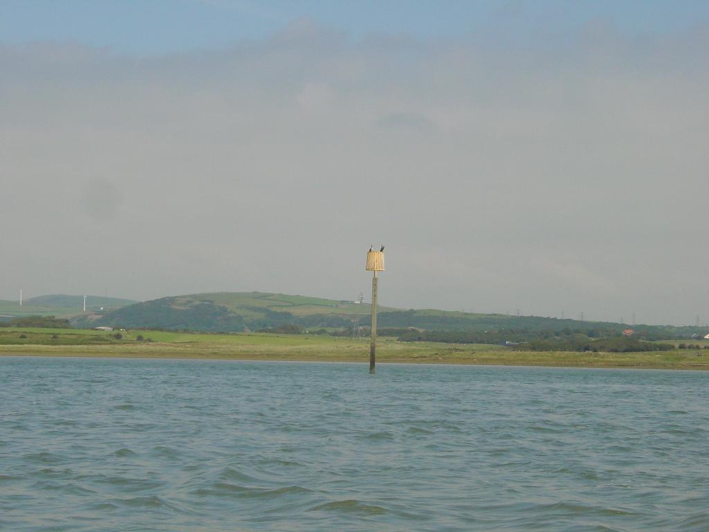 Click now to see this image full size.