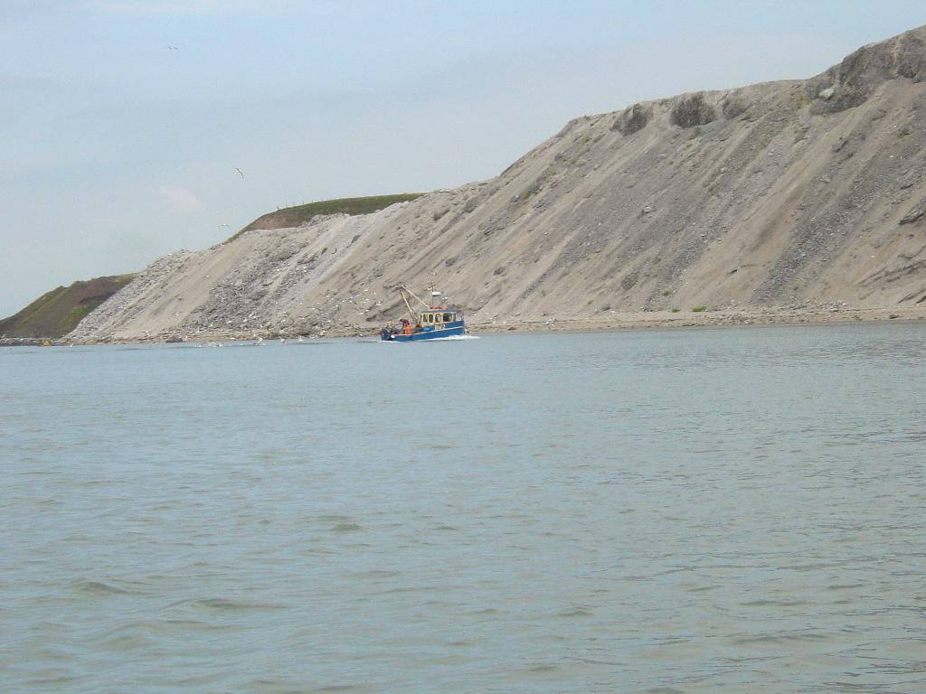 Click now to see this image full size.