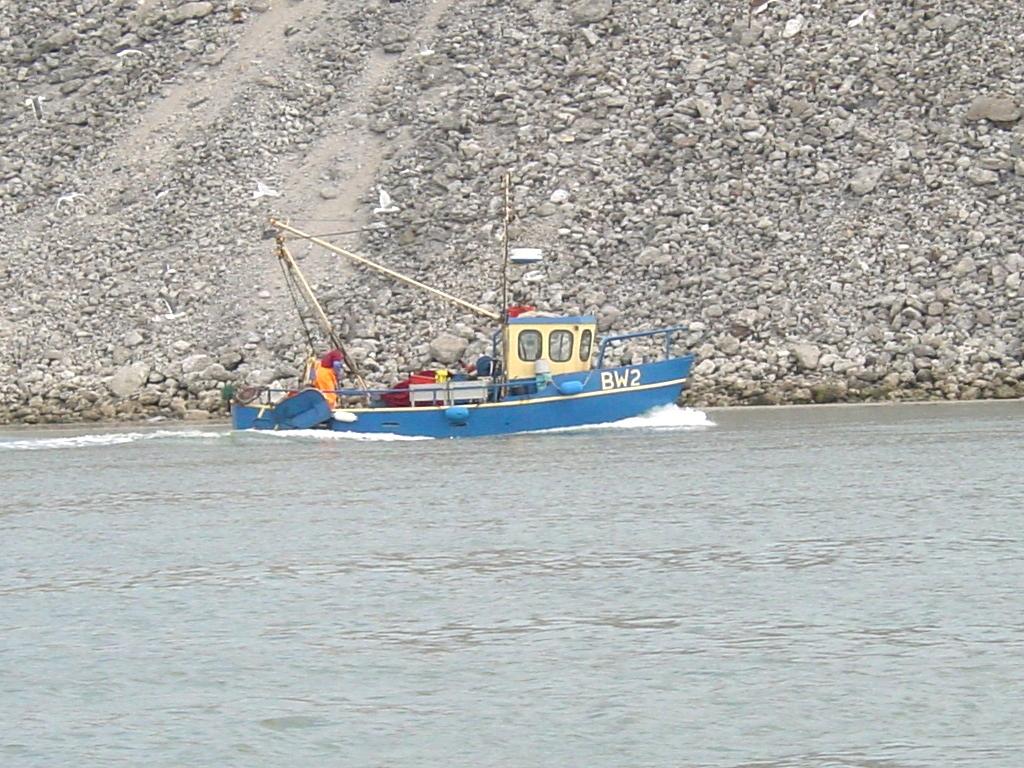 Click now to see this image full size.