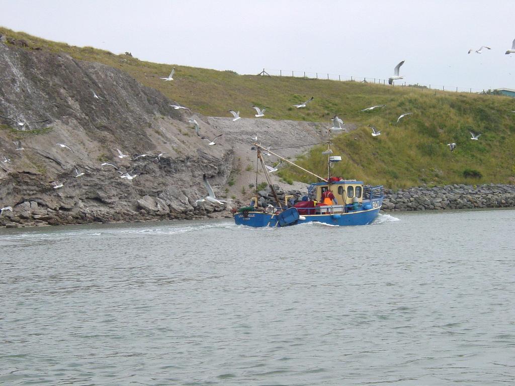 Click now to see this image full size.