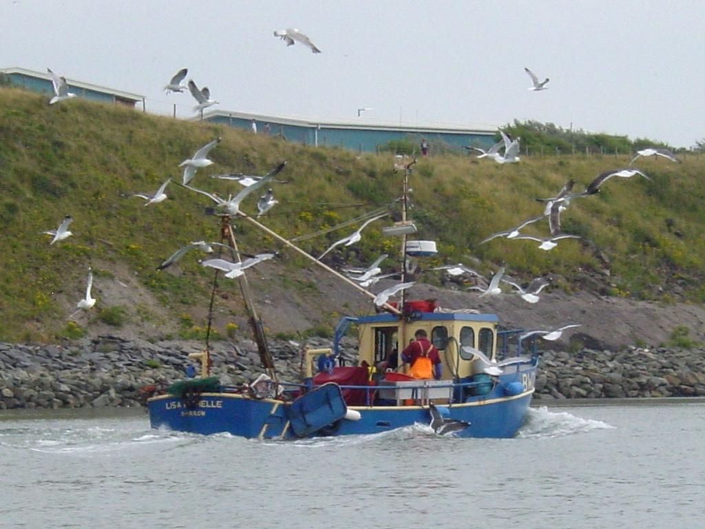 Click now to see this image full size.