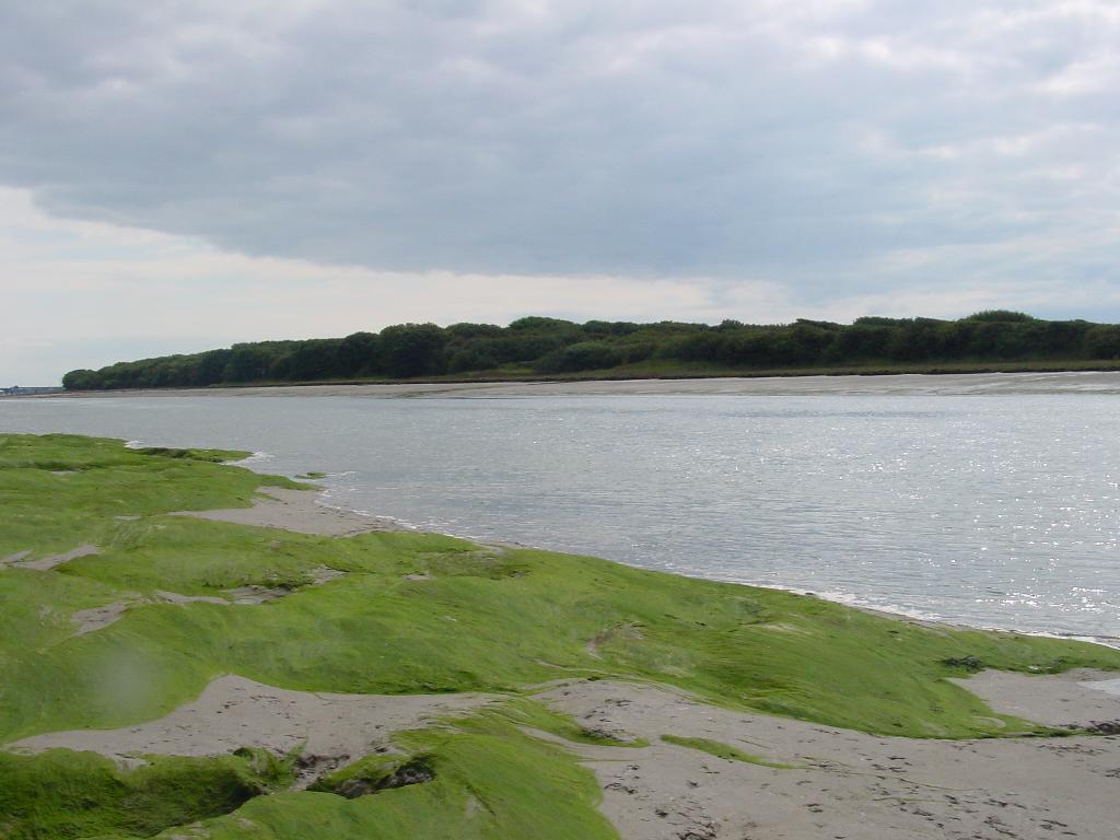 Click now to see this image full size.