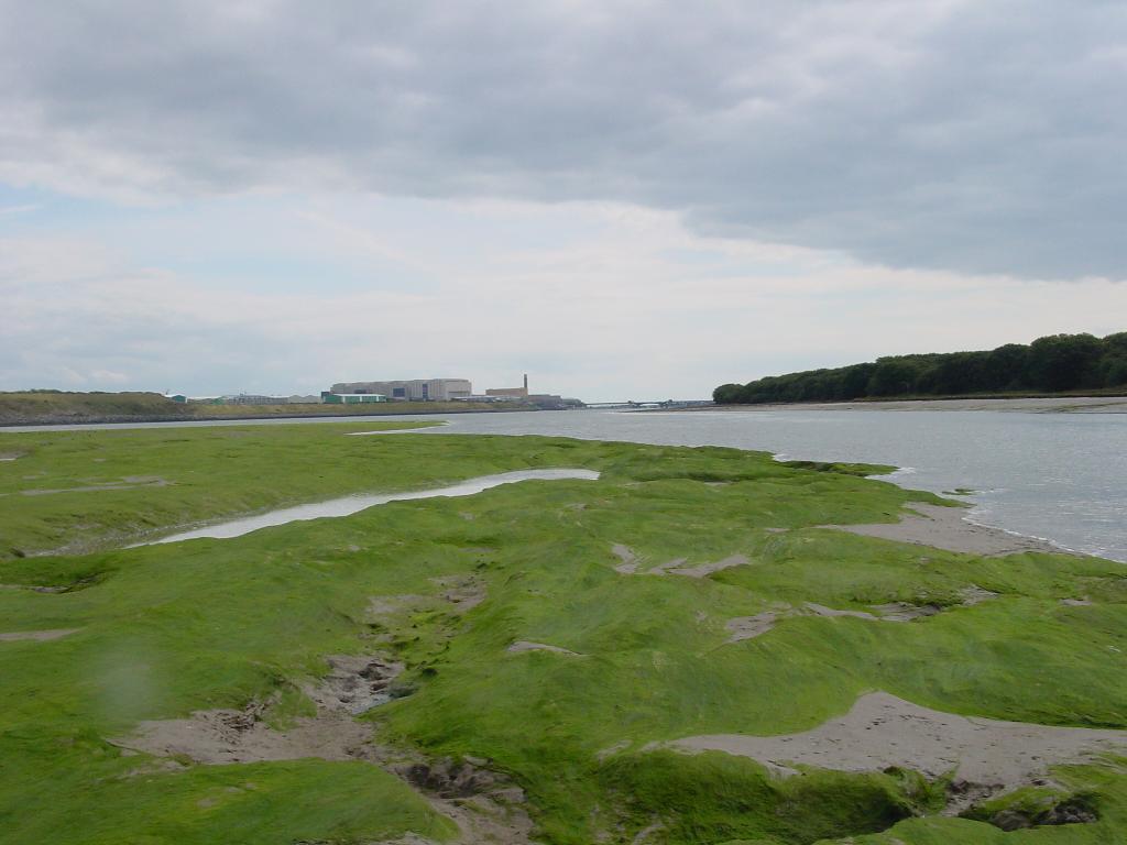 Click now to see this image full size.