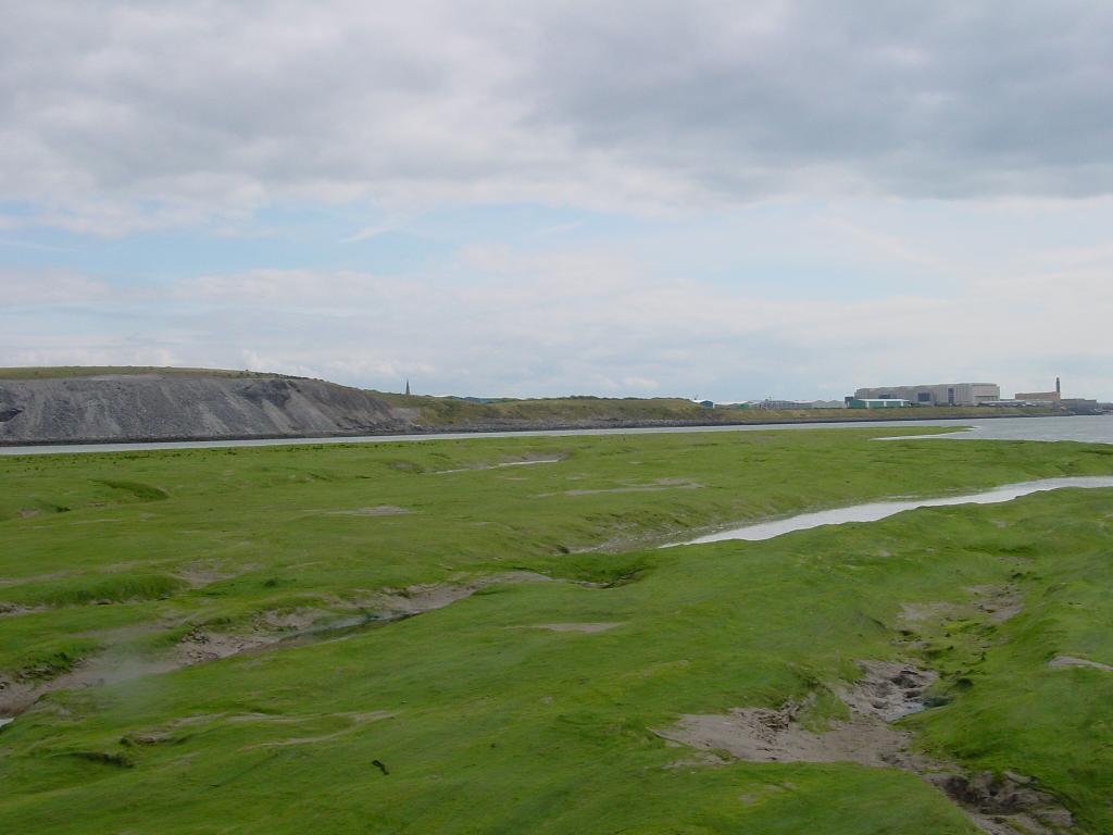 Click now to see this image full size.