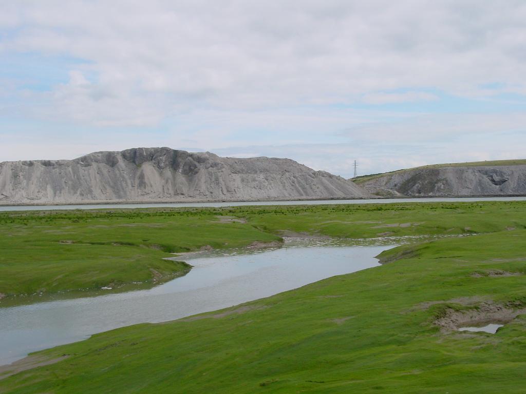 Click now to see this image full size.