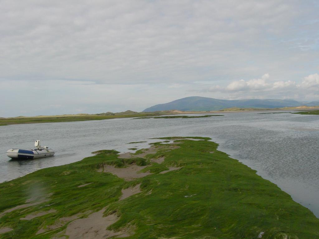 Click now to see this image full size.