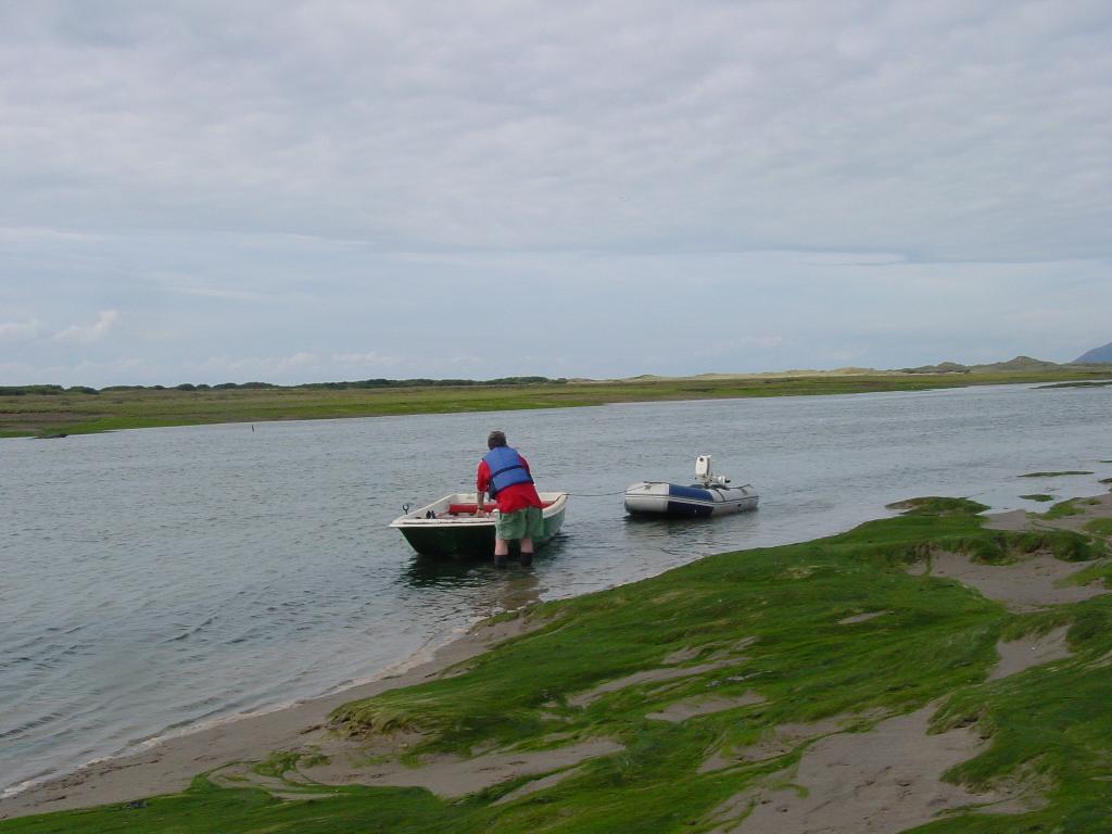 Click now to see this image full size.