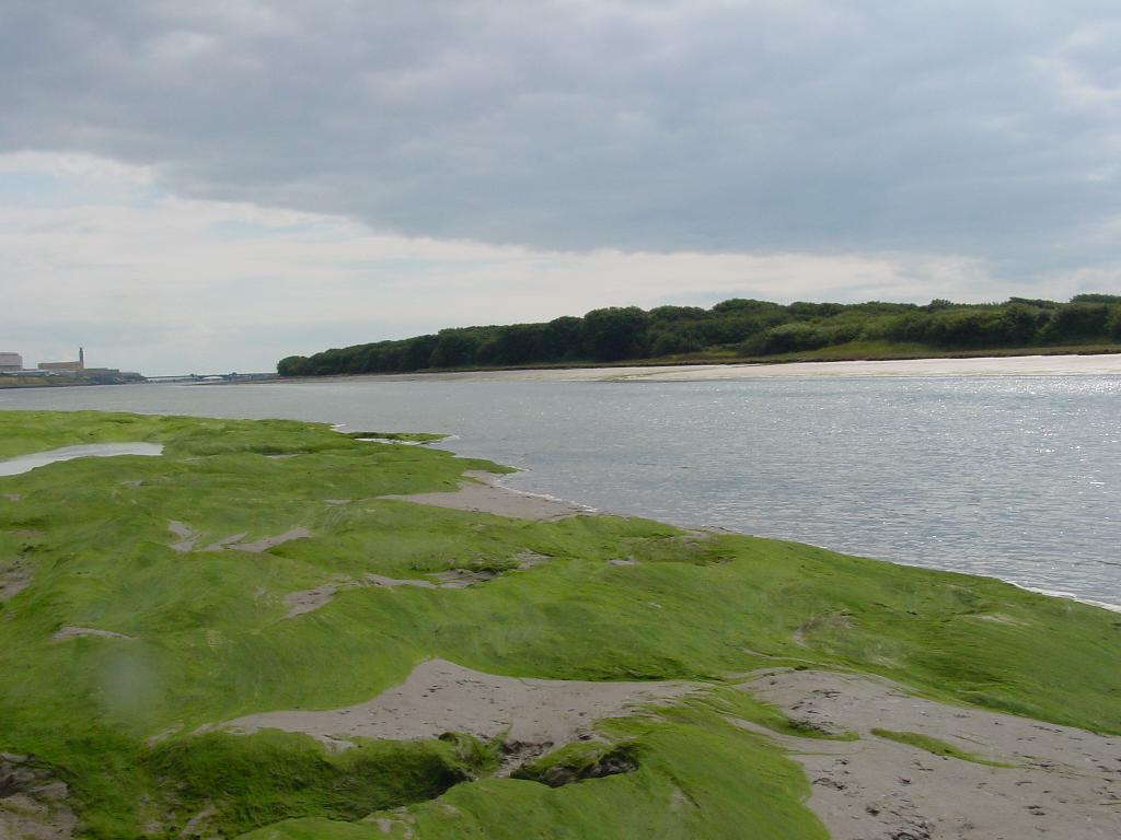 Click now to see this image full size.