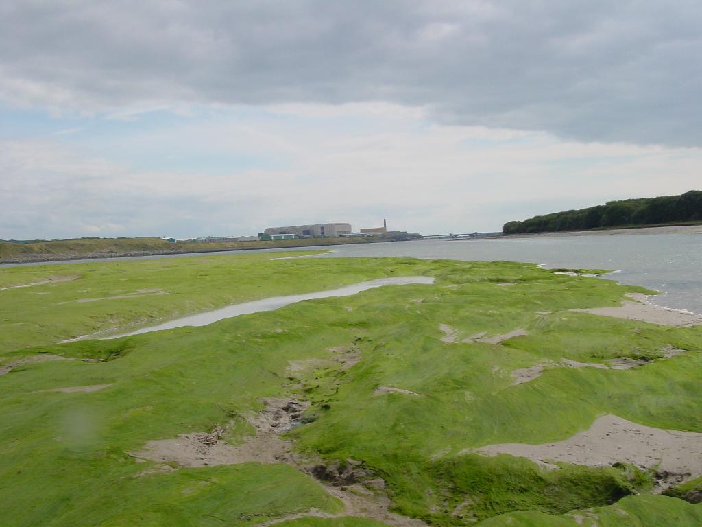 Click now to see this image full size.