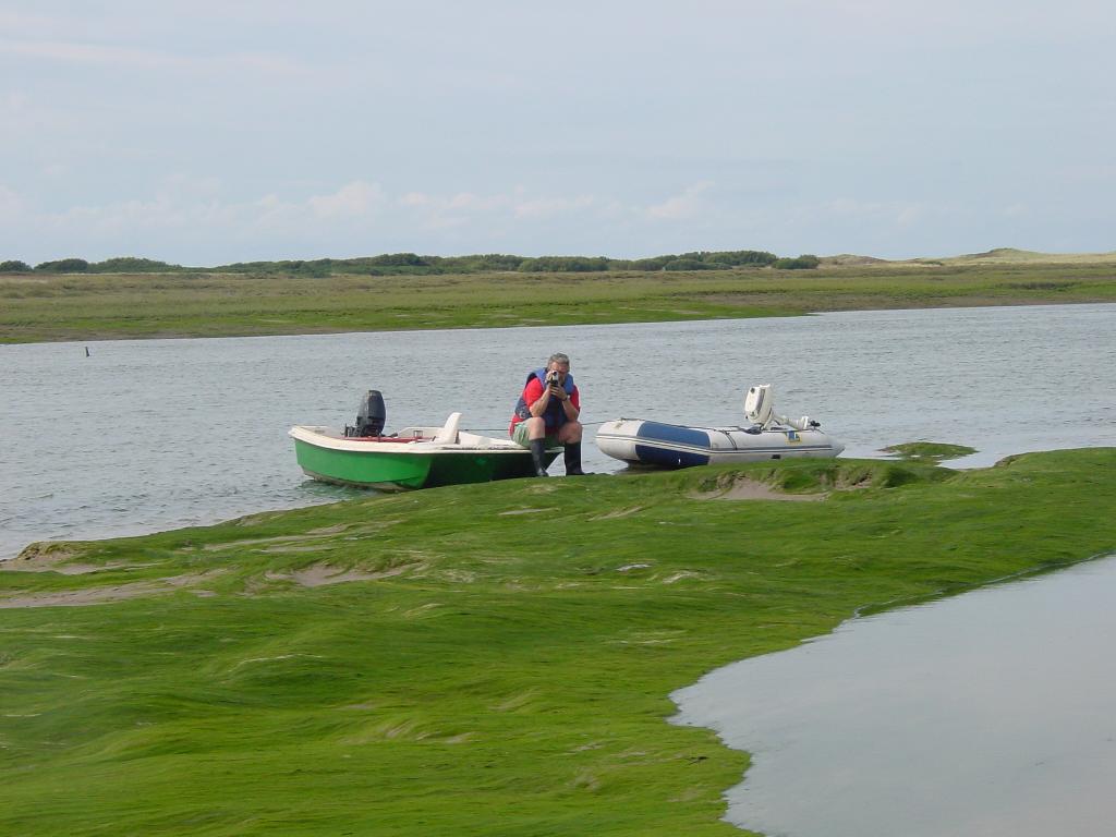 Click now to see this image full size.