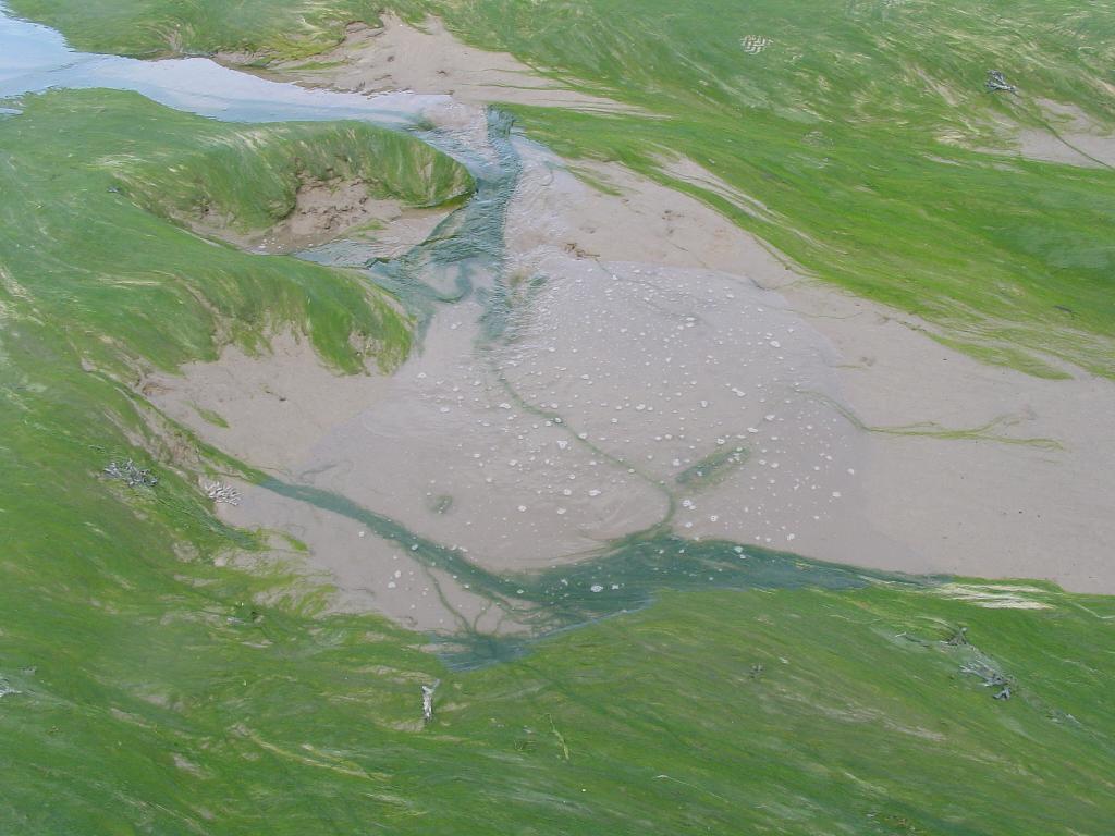 Click now to see this image full size.