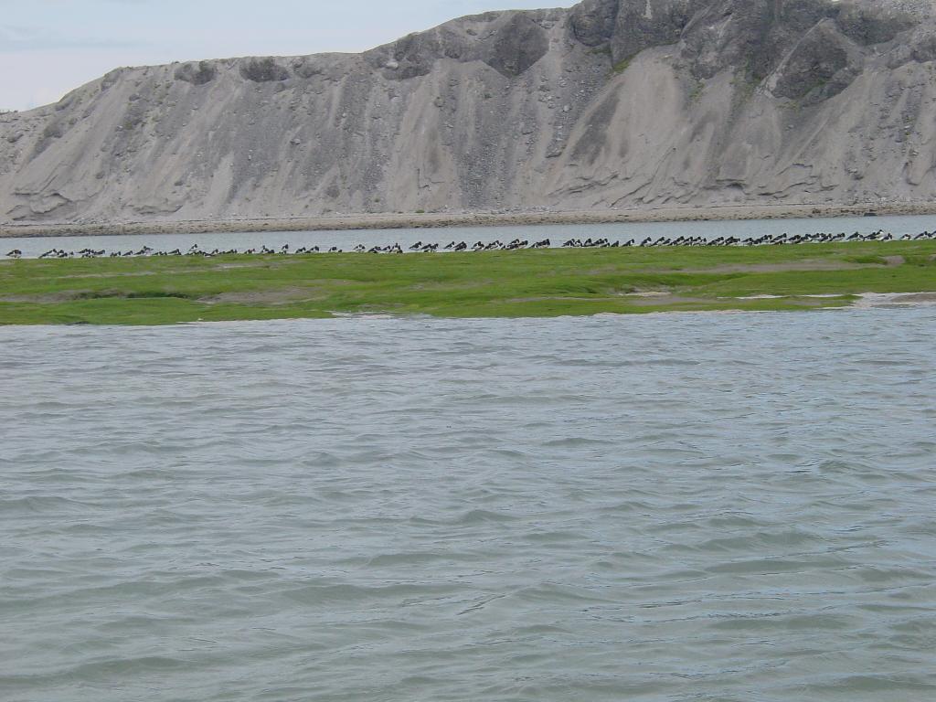 Click now to see this image full size.