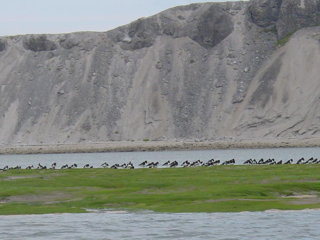 Click now to see this image full size.