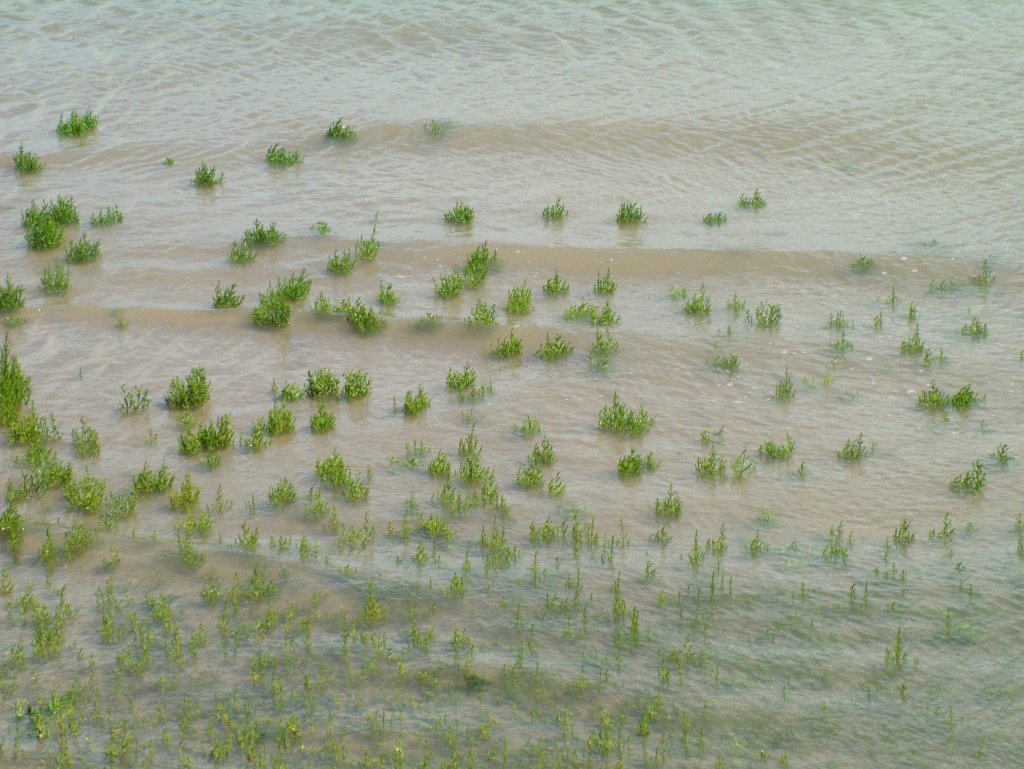 Click now to see this image full size.