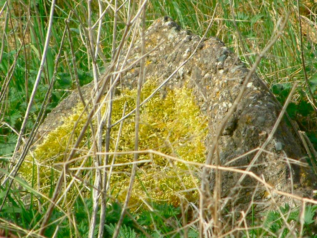 Click now to see this image full size.