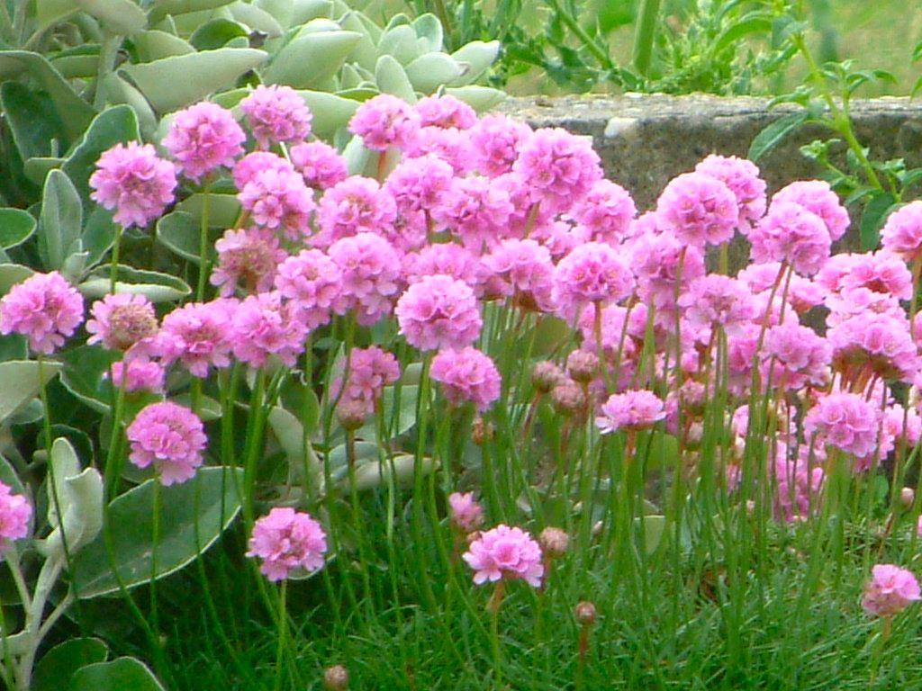 Click now to see this image full size.