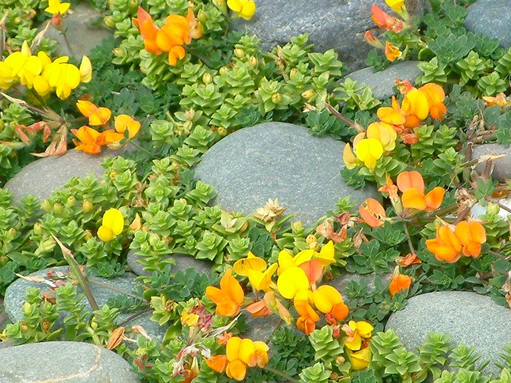 Click now to see this image full size.