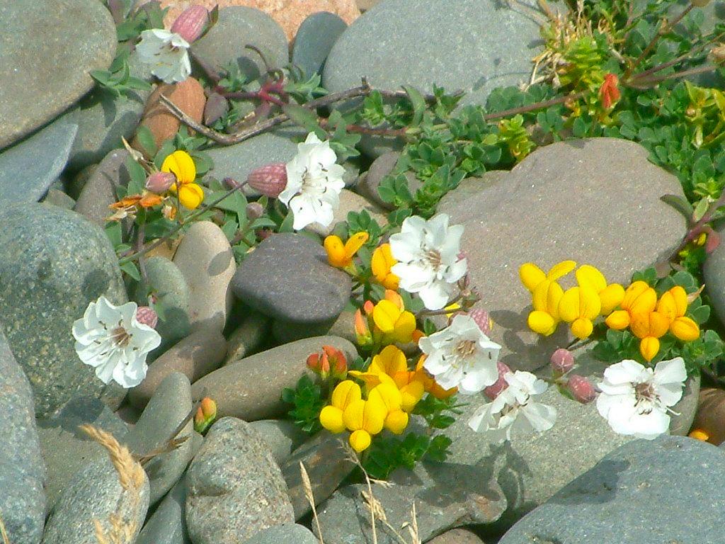 Click now to see this image full size.