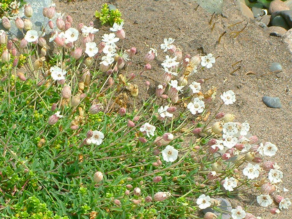 Click now to see this image full size.