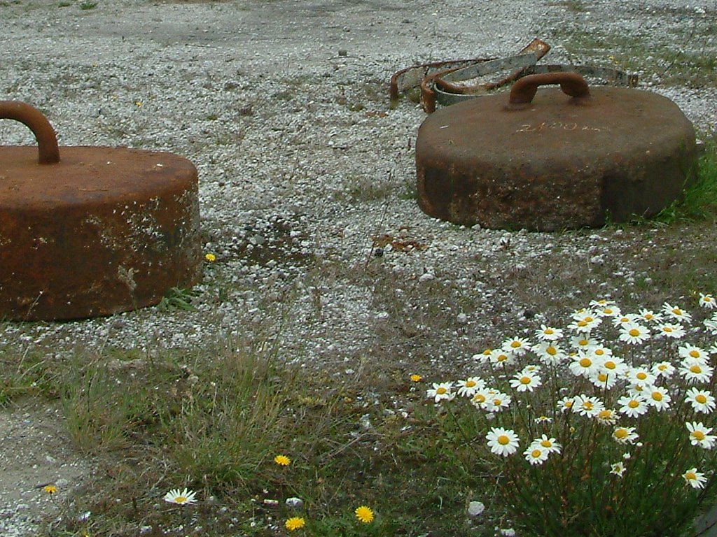 Click now to see this image full size.