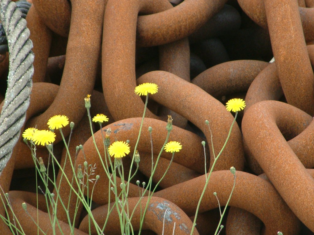 Click now to see this image full size.