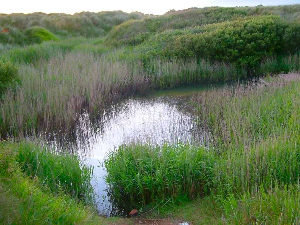 Click now to see this image full size.