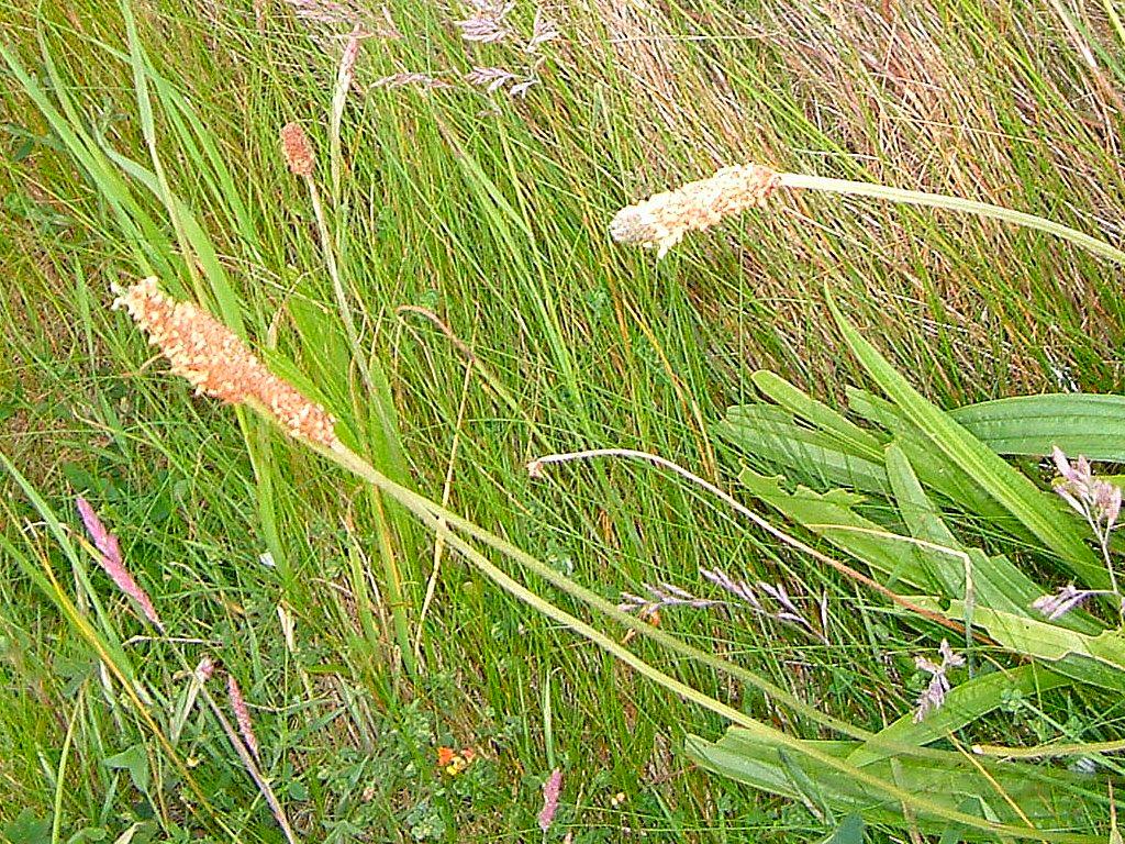 Click now to see this image full size.