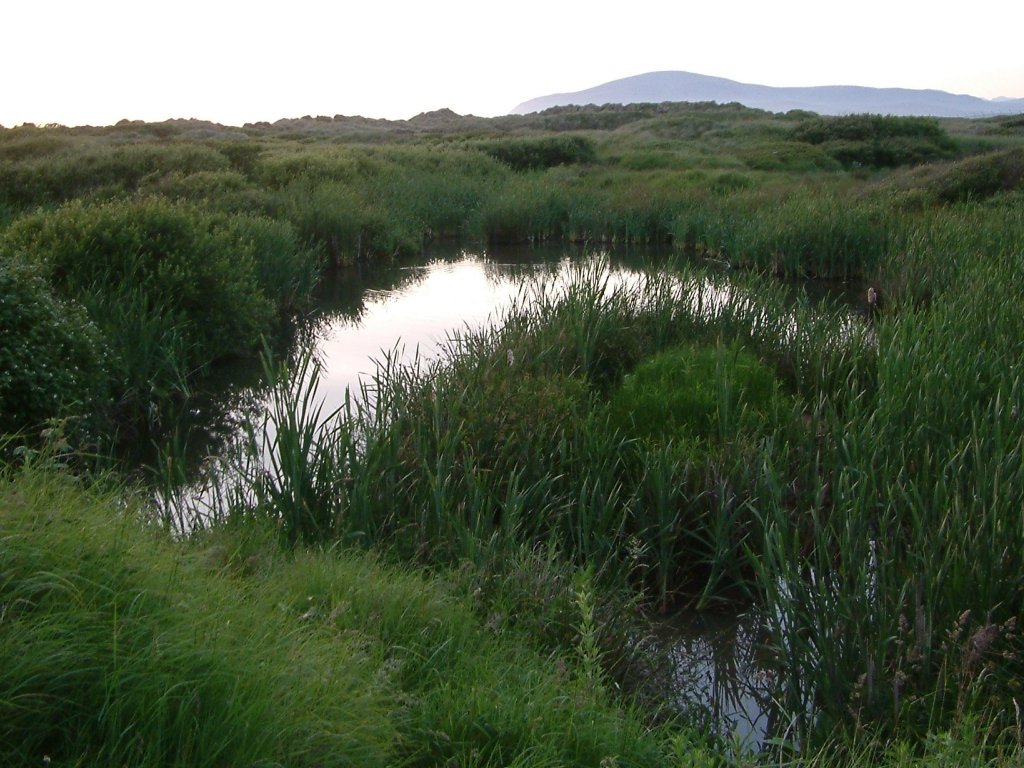 Click now to see this image full size.