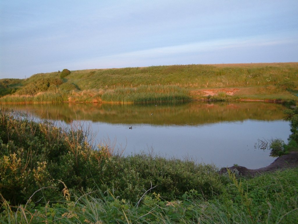 Click now to see this image full size.